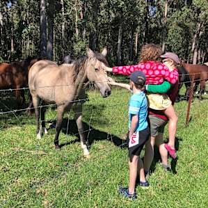 Stonepine Ridge: Bookookarara Creek
