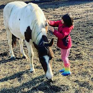 Helping care for the horses