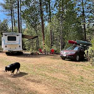 Rockingbird Meadow - Camp 11