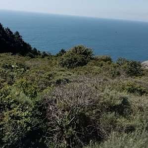Walking distance from ocean views. The more touristy Stinson Beach is ten minutes away on the highway.