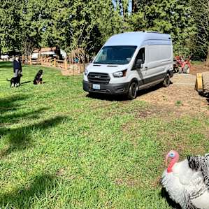 Maggie, Abby, Buttercup, and our van .