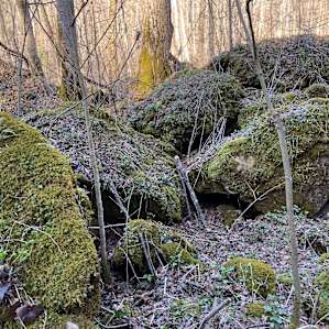 Nearby hiking at the Helen C Black Cedar Falls trail