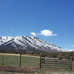 Alpaca Rescue Farm- RV Camping