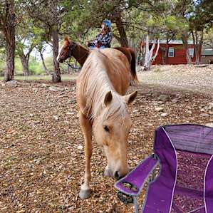 RV Horseback Camping In The Woodst