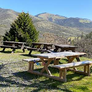 Shady Grove Cabin at Yale Creek