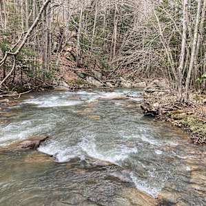 I managed to snap this picture from one of the rocks in the creek