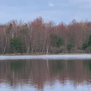 Beaver Lodge Tenting