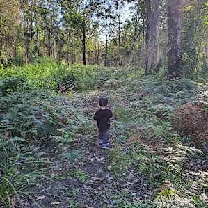 Bit of a bush walk through the 800 acres of property