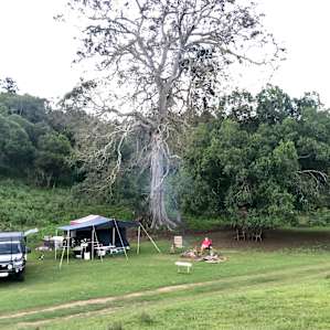 Fig Tree Camping