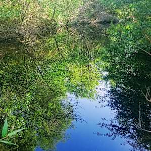 Our Saturday swimming location =)