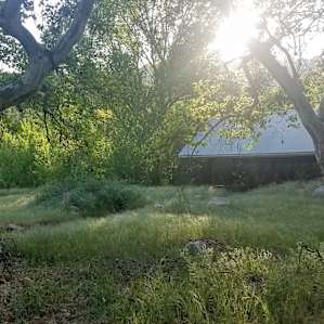Sycamore Arch Tent Site
