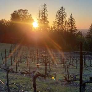 Mountain camping at a vineyard
