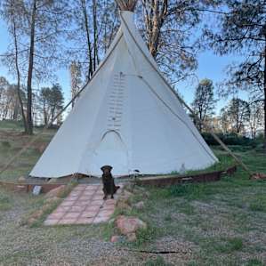 Jerusalem Ranch Tepee and Trailer