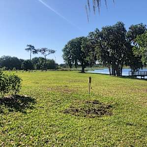 Plenty of beautiful space at the property to hangout