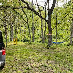 Lots of shade and also sunny spots. Great for tents or vehicle camping. The ground is mostly grassy, hard packed soil.
