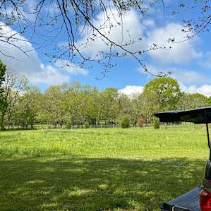 View of the horse pasture.
