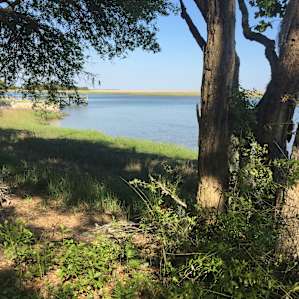 View from our site.