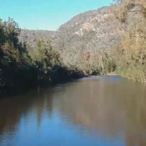 View up the river
