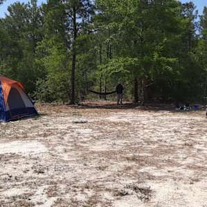 Whispering Pines