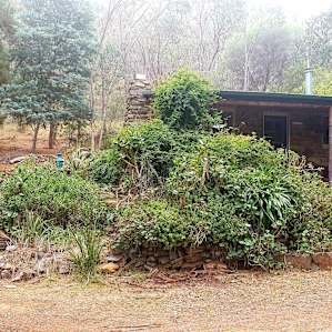 Cabin in the woods near Castlemaine