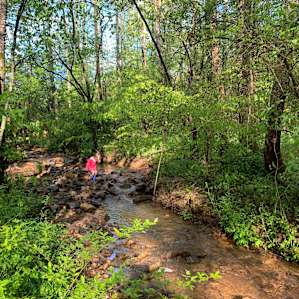 Playing in the creek, not too fast or deep for young ones