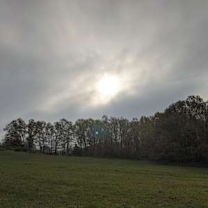 Secluded Glen on Prayer Mountain