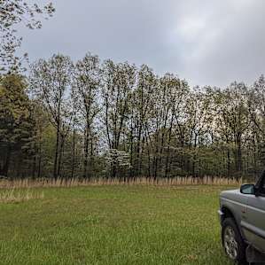 Secluded Glen on Prayer Mountain
