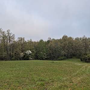 Secluded Glen on Prayer Mountain