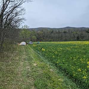 Faithful Harvest Farm Campsites