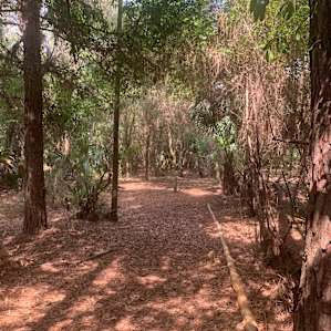 nice trail