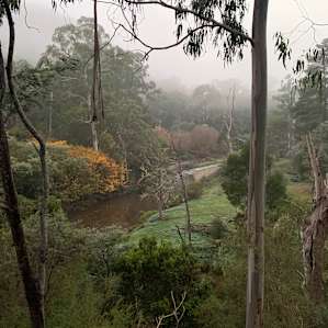 Howqua River Valley Camping
