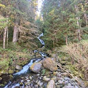 The scenic loop is worth your time.