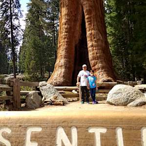 Sequoia National Park was beautiful.