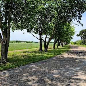 Idyllic county road outside the entrance to the property.