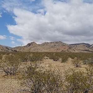 Mojave Moonlight Campground