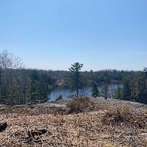 Camp Fun at Lake Lauzon