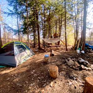 Camp Fun at Lake Lauzon