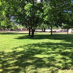 well watered lawn