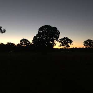 Beautiful sunset