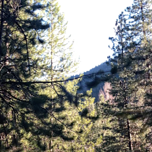View from the cabin porch.