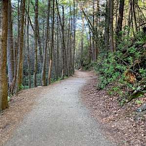 So many hiking trails near this location
