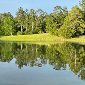 The Honey Hole