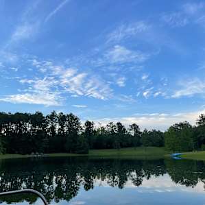 The Honey Hole