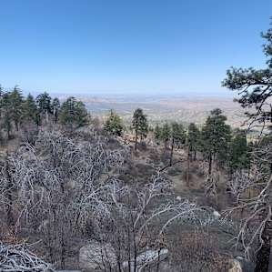 Nearby views
