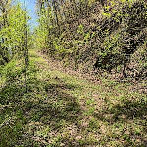 Off grid mountain sanctuary 100+ac