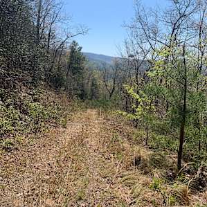 Off grid mountain sanctuary 100+ac