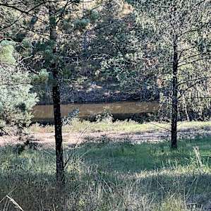 Enchanting w views of the River