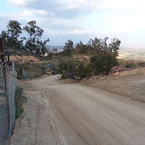 View looking down the road from the entrance to the property.