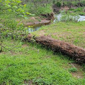 Broad Creek Fenced, Firepit Private