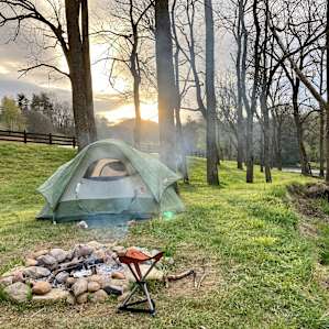 Smoky Mtn. Mangalitsa Car Camp